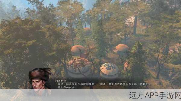 河洛群侠传，暗器武功全揭秘，助你称霸武林！