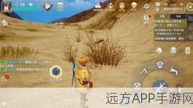 诺亚之心守鹿人奇遇全攻略,解锁隐藏任务的秘密