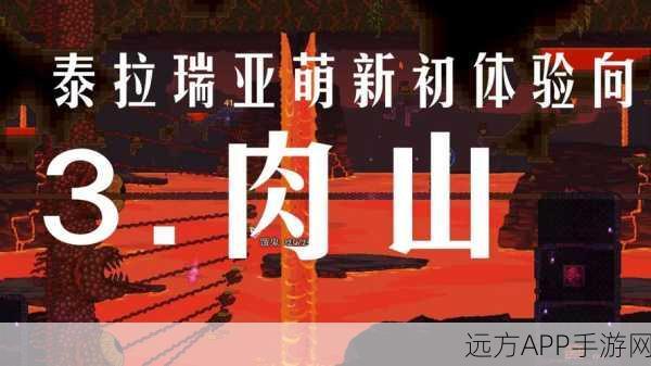 泰拉瑞亚深度攻略,肉山后恶魔祭坛无法锤击的终极揭秘