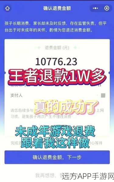 王者荣耀退款全攻略，揭秘退款流程与潜在影响