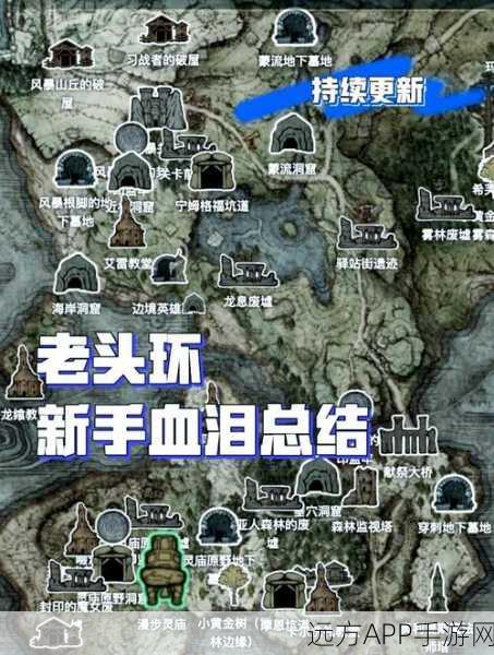 艾尔登法环深度攻略,观星者高效开荒秘籍大公开