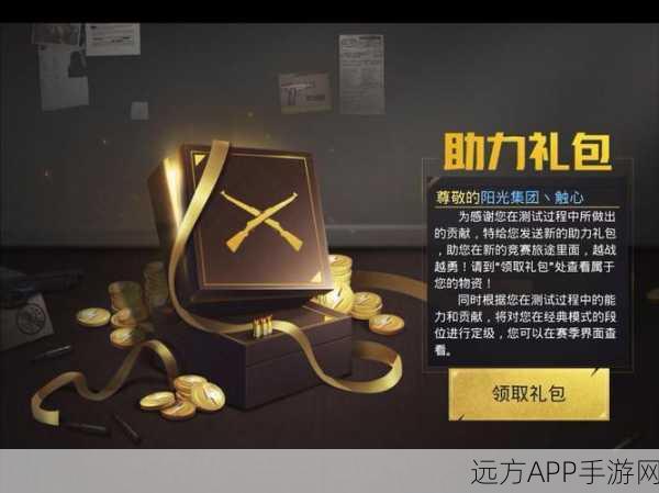 揭秘刺激战场印记系统，深度攻略与独特魅力全解析