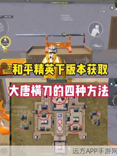 和平精英金币军需宝箱深度解析,宝藏地图揭秘与高效抽奖策略