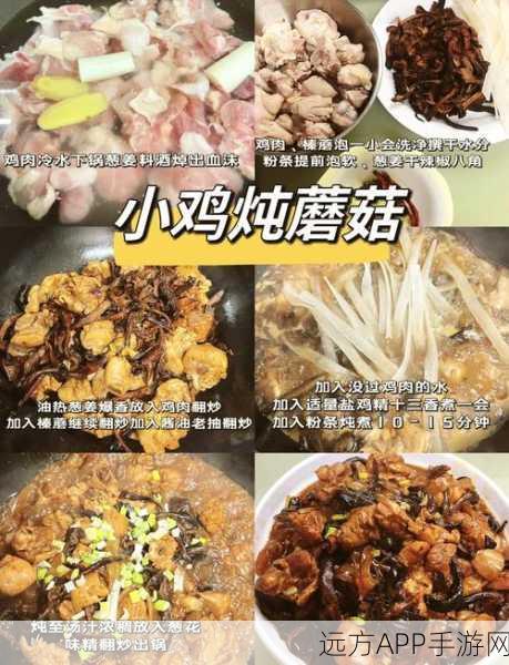 航海王热血航线美食大赛,小鸡炖蘑菇配方大公开,烹饪大师独家秘技全揭秘