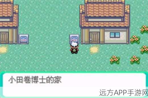 口袋妖怪新纪元,绿宝石修改器深度解析,解锁隐藏挑战与极致体验