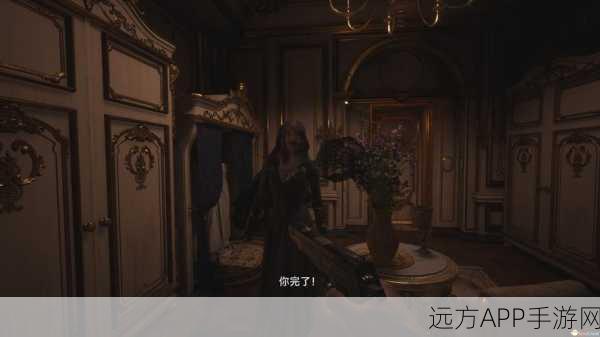 生化危机8卡顿难题?一键解锁启动秘籍,助你畅玩无阻!