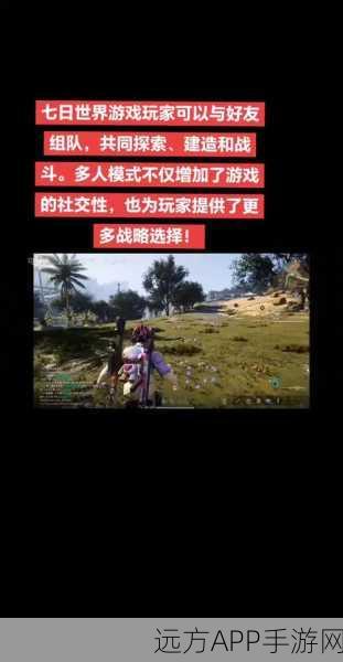 跨服交友新攻略,一刀传世如何轻松实现跨服好友添加?