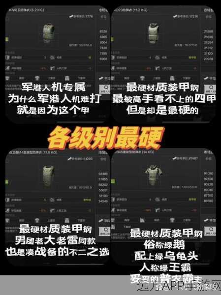暗区突围深度攻略，护甲等级全解析，助你战场制胜