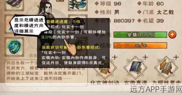 烟雨江湖天元落,顶尖侠客的最优选?深度解析与实战应用