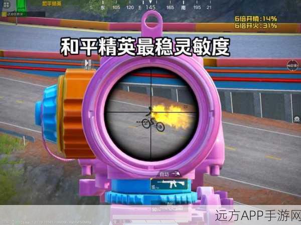 和平精英小眼睛设置揭秘，提升游戏视野的必备技巧