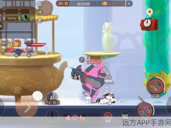 猫和老鼠树新风为什么不要宝鸽鸽?