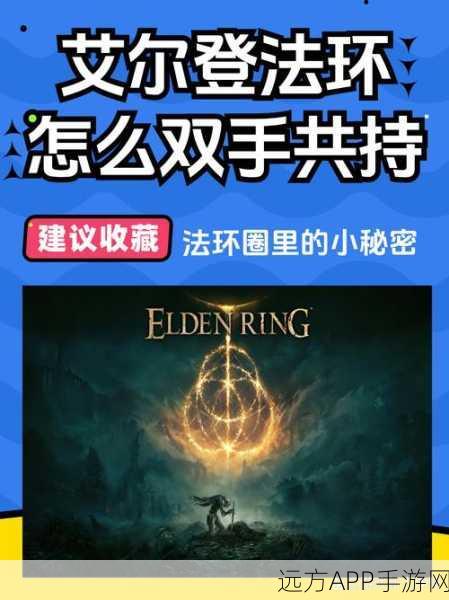 艾尔登法环高手秘籍，双持武器快速切换技巧大揭秘