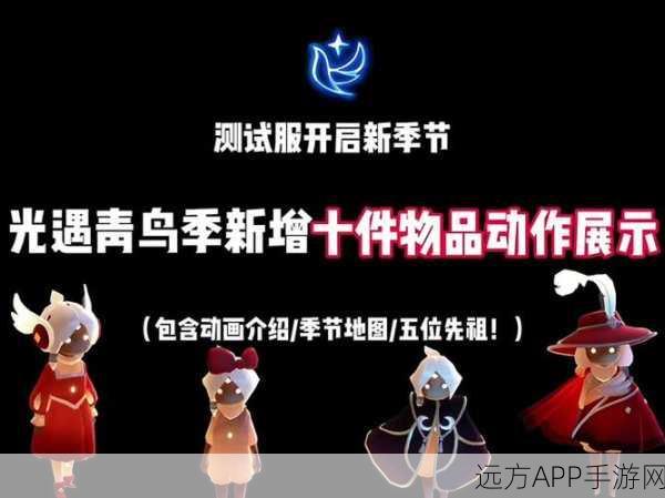 光遇新装爆料,海龟斗篷性价比大揭秘!