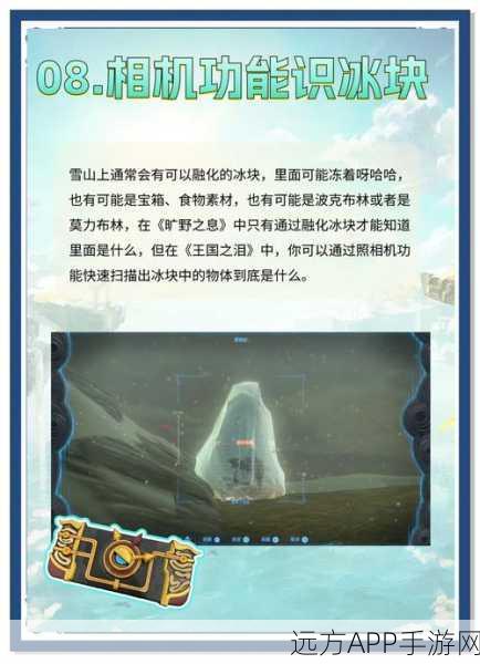 塞尔达传说王国之泪,平原外围驿站画作任务全解析,助你轻松解锁隐藏奖励