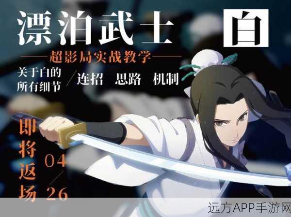 火影手游冷门白角色深度剖析,实力被低估的战场隐士