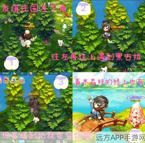 奥比岛秘境探险大赛,采集珍稀宝藏,解锁山洞奇遇