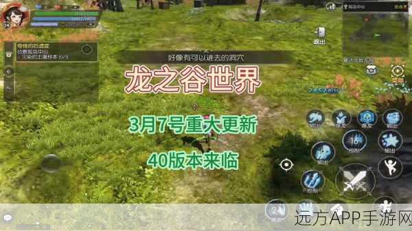 揭秘龙之谷顶级挑战,勇者攀登无尽天梯,冲击至高荣耀!