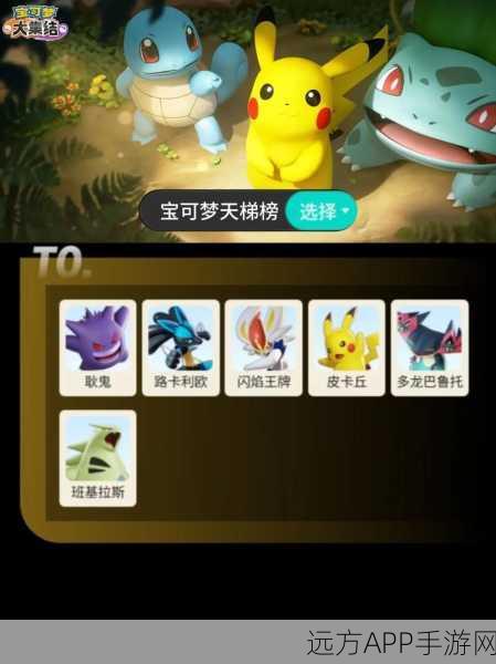 宝可梦大集结，全阵容亮相，竞技对战新纪元，深度解析比赛细节！