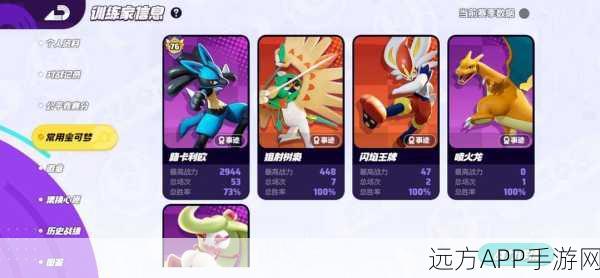 宝可梦大集结,全阵容亮相,竞技对战新纪元,深度解析比赛细节!