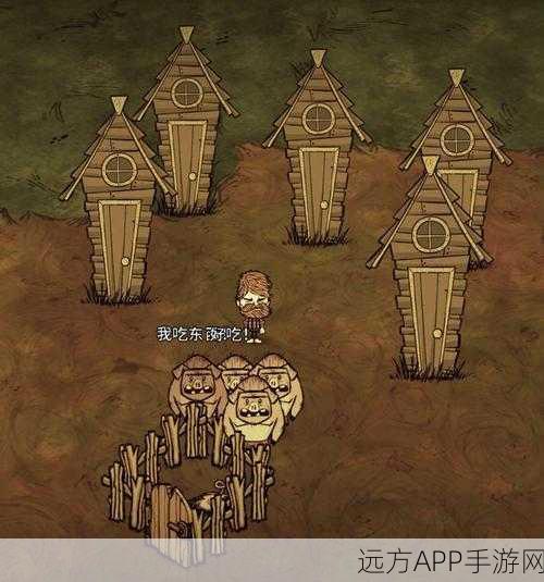 渡渡鸟生存大考验，饥荒海难双重夹击下的血量控制与生存秘籍