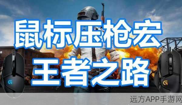 绝地求生单排王者之路,顶尖技巧与实战策略揭秘