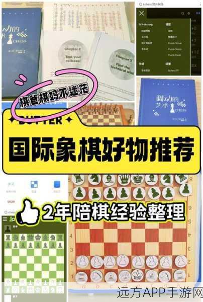 全球热捧！带走国王国际象棋休闲游戏下载量飙升