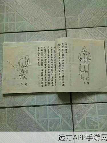 烟雨江湖少林阵法深度解析,实战进阶秘籍,助你称霸武林