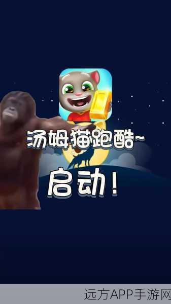 超级黄金汤姆游戏下载_有很多游戏关卡的休闲小游戏