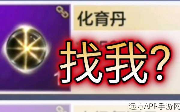 妄想山海，化育丹高效运用秘籍，解锁宠物战力巅峰