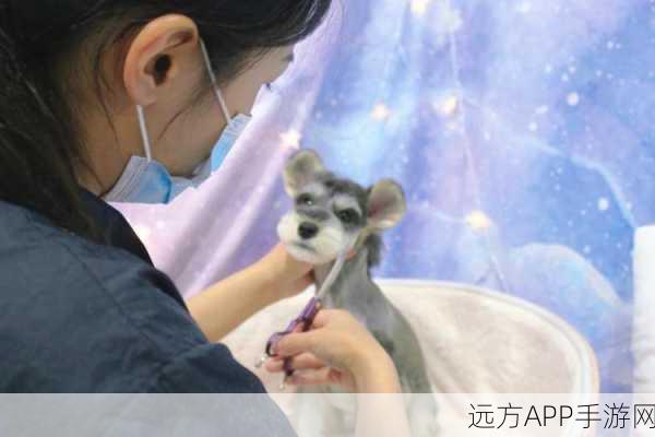 奇妙怪物美容新版上线，育儿模式开启，打造专属萌宠新体验！