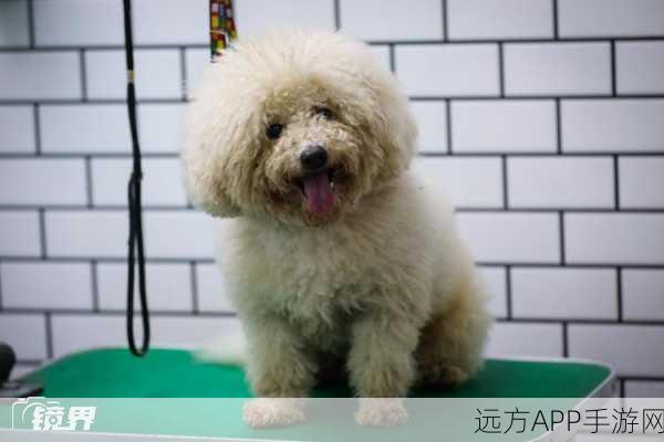奇妙怪物美容新版上线,育儿模式开启,打造专属萌宠新体验!