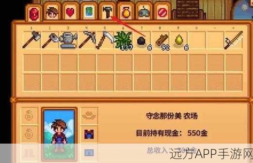 星露谷物语，宝箱管理艺术，打造完美储物空间！