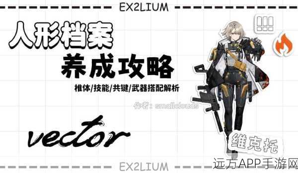 少女前线，揭秘碧海号角获取攻略，赢取珍稀装备！