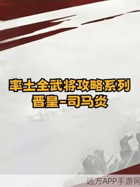 率土之滨武将速升20级攻略,解锁高效升级秘籍