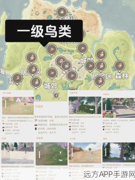 心动小镇探秘，奥杜安海鸥鸟精准定位与捕捉攻略