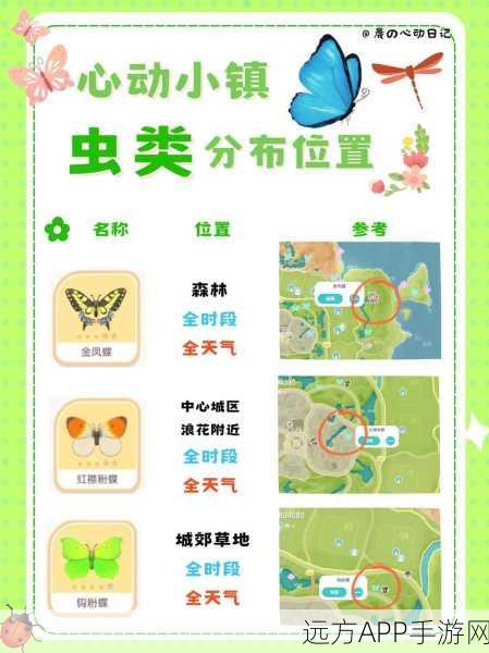 心动小镇探秘,奥杜安海鸥鸟精准定位与捕捉攻略