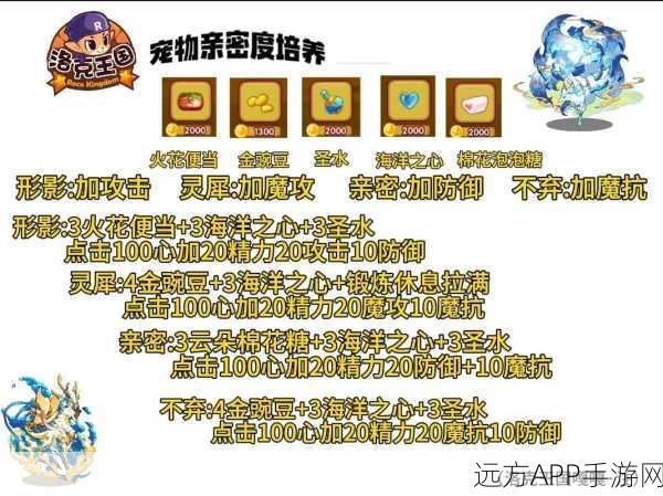 洛克王国深度揭秘,一级护体石肤宠物全攻略与竞技实战解析