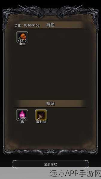 地下城堡2新挑战,账号未满,仓库扩容攻略大揭秘!