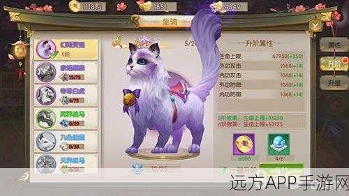 花与剑手游，玄武玉获取全攻略，揭秘战力飙升的隐藏通道