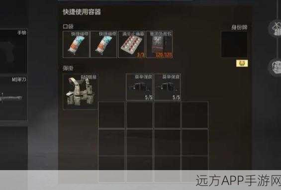 暗区突围高手秘籍，深度揭秘身份牌高效获取策略与实战技巧