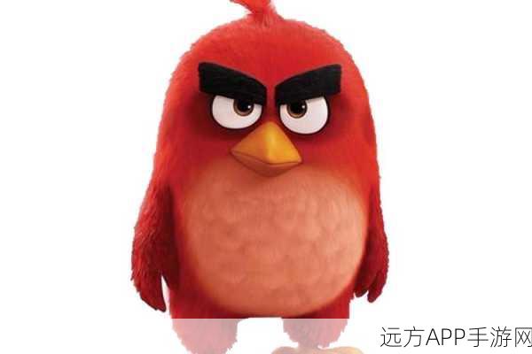 愤怒的小鸟2深度剖析,怒鸟红属性全揭秘与实战攻略