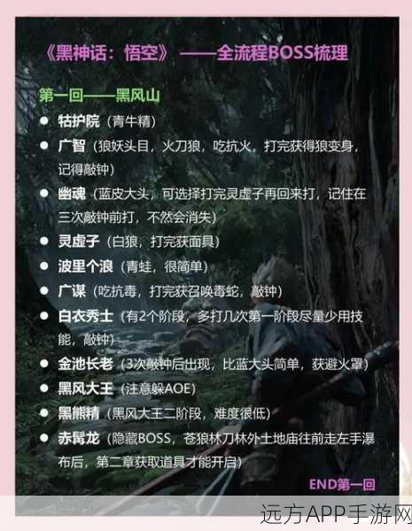 黑神话,悟空虚空结功能全解析——解锁战斗与探索新境界