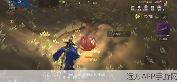 妄想山海,神草催化高效获取秘籍大公开