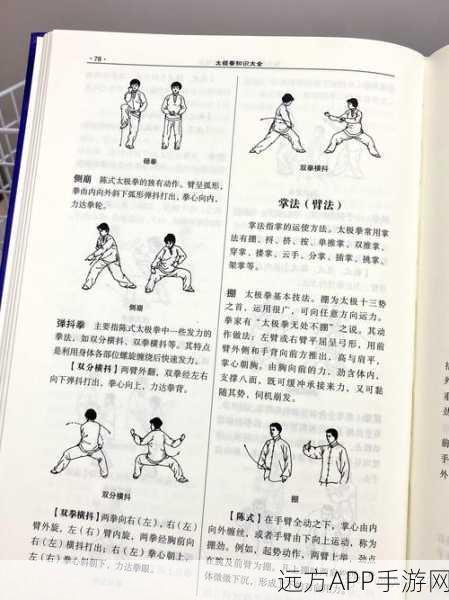 太极熊猫战斗力飙升秘籍，全面解析战斗力构成与提升策略