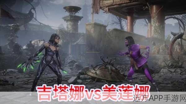 猎人竞技场传奇，美美角色深度剖析与连招绝技揭秘