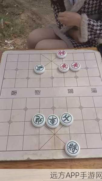 象棋巅峰对决，揭秘棋坛残局大师精彩博弈瞬间