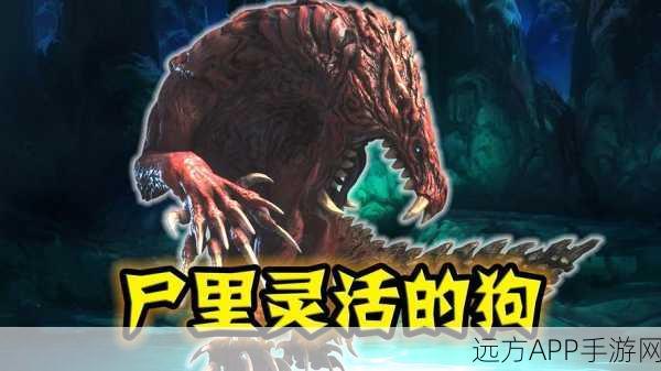 怪物猎人攻略,揭秘惨爪龙裂伤应对策略,助你狩猎无忧!