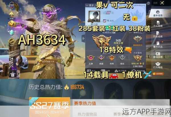 和平精英主页访问痕迹揭秘，隐私与安全并重的游戏社交