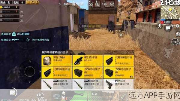 绝地求生刺激战场，深度解析亲密度提升秘籍与实战应用策略