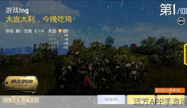 绝地求生刺激战场,深度解析亲密度提升秘籍与实战应用策略